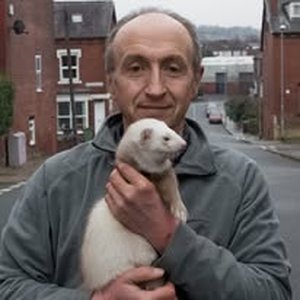 Steve's profile picture